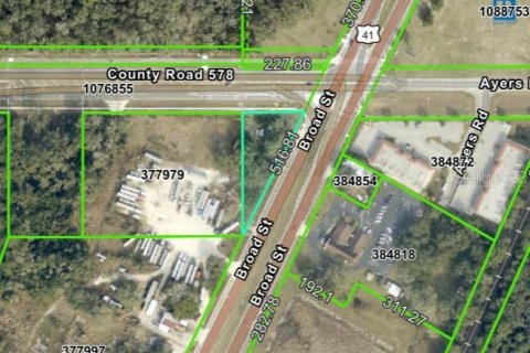 Land in Brooksville, Florida № 1774119 - photo 4