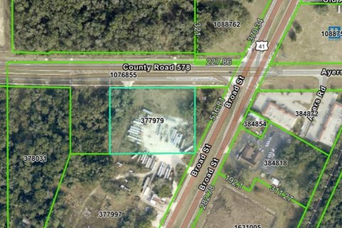Land in Brooksville, Florida № 1774119 - photo 3