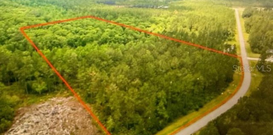 Terrain à Bunnell, Floride № 2204925