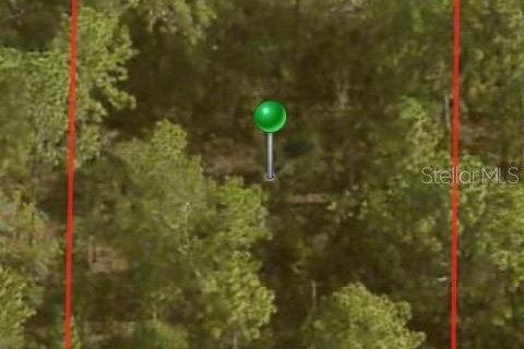 Land in Citrus Springs, Florida № 2163337