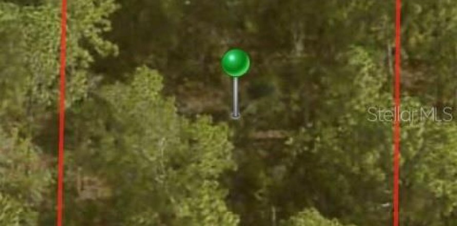 Land in Citrus Springs, Florida № 2163337