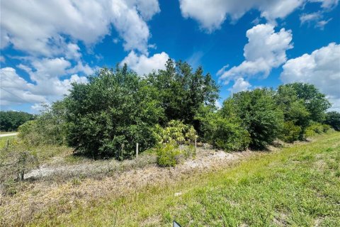 Land in Okeechobee, Florida № 2213913 - photo 5