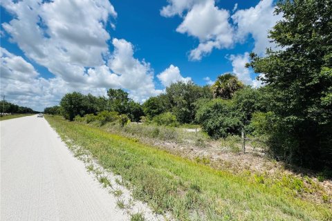 Land in Okeechobee, Florida № 2213913 - photo 7