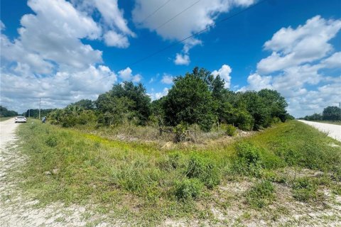 Land in Okeechobee, Florida № 2213913 - photo 8