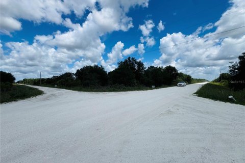 Land in Okeechobee, Florida № 2213913 - photo 6