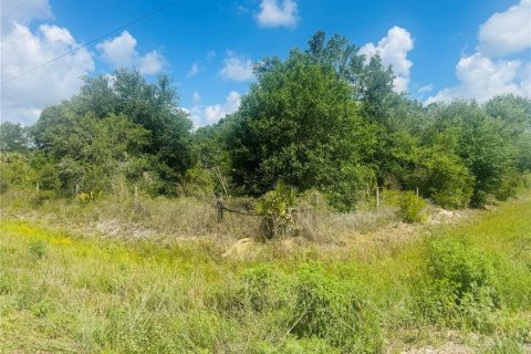 Land in Okeechobee, Florida № 2213913 - photo 4