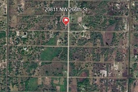 Land in Okeechobee, Florida № 2213913 - photo 2