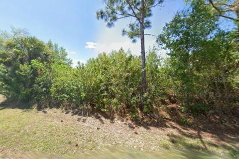 Land in Port Charlotte, Florida № 2366643