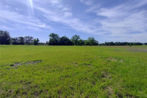 Land in MC Alpin, Florida № 1815667 - photo 11