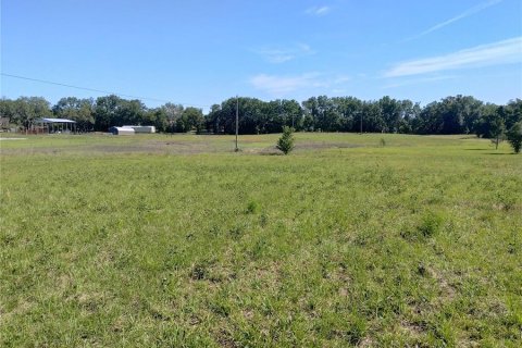 Land in MC Alpin, Florida № 1815667 - photo 4