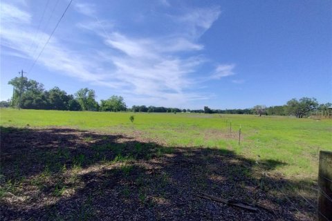 Land in MC Alpin, Florida № 1815667 - photo 13