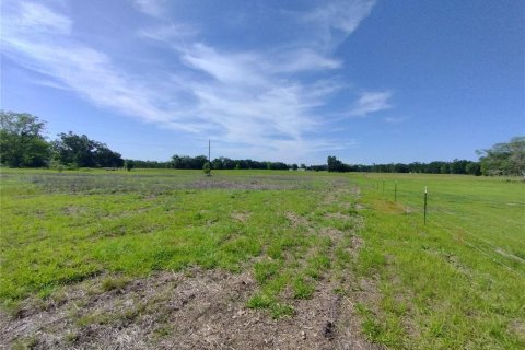 Land in MC Alpin, Florida № 1815667 - photo 10