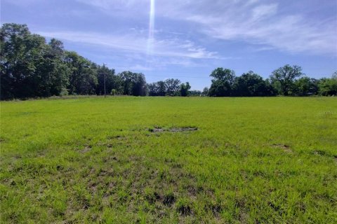 Land in MC Alpin, Florida № 1815667 - photo 12