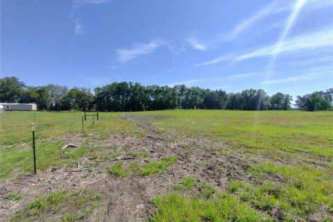 Land in MC Alpin, Florida № 1815667 - photo 9
