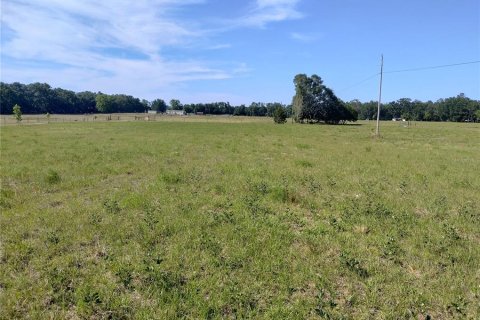 Land in MC Alpin, Florida № 1815667 - photo 6