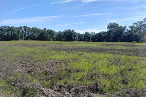 Land in MC Alpin, Florida № 1815667 - photo 2