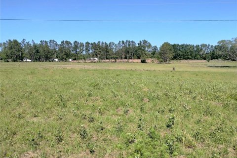 Land in MC Alpin, Florida № 1815667 - photo 5