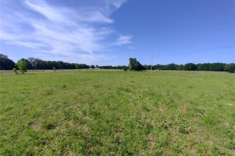 Land in MC Alpin, Florida № 1815667 - photo 7
