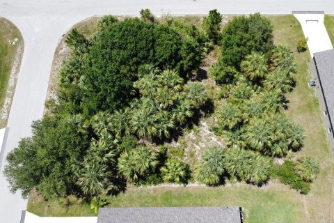 Land in Palm Bay, Florida № 1801473 - photo 1
