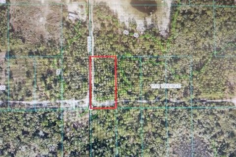 Land in Palatka, Florida № 1767336 - photo 2