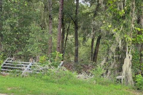 Land in Summerfield, Florida № 1915528 - photo 1