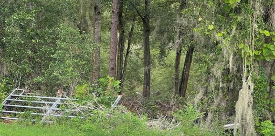Terrain à Summerfield, Floride № 1915528
