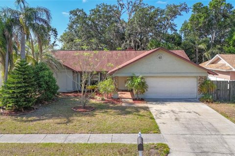 House in Valrico, Florida 3 bedrooms, 184.97 sq.m. № 1878313 - photo 1