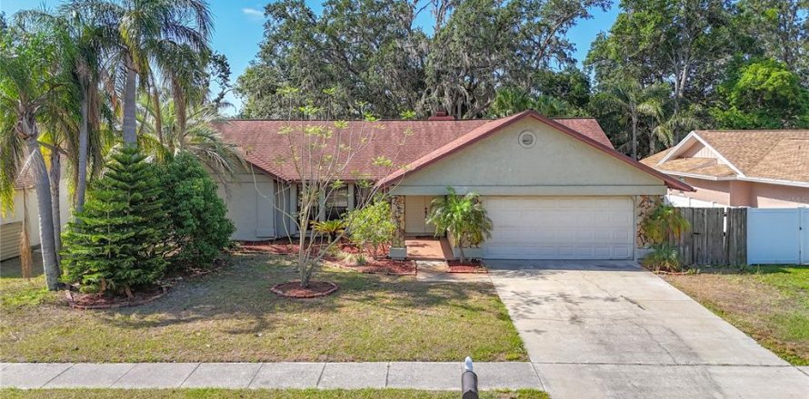 Villa ou maison à Valrico, Floride 3 chambres, 184.97 m2 № 1878313