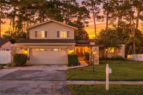 House in Clearwater, Florida 4 bedrooms, 209.87 sq.m. № 2416343