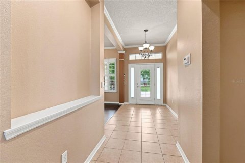 Villa ou maison à vendre à Fish Hawk, Floride: 4 chambres, 285.21 m2 № 2329252 - photo 21
