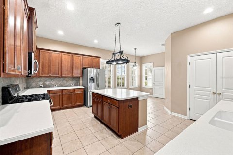 Villa ou maison à vendre à Fish Hawk, Floride: 4 chambres, 285.21 m2 № 2329252 - photo 20