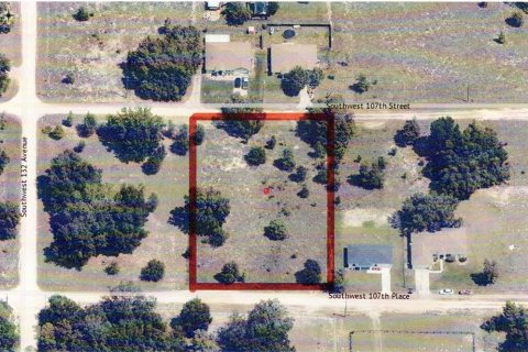Land in Dunnellon, Florida № 1873867 - photo 2
