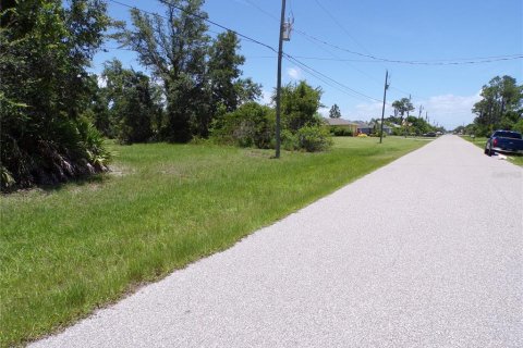 Land in Rotonda, Florida № 1843068 - photo 3