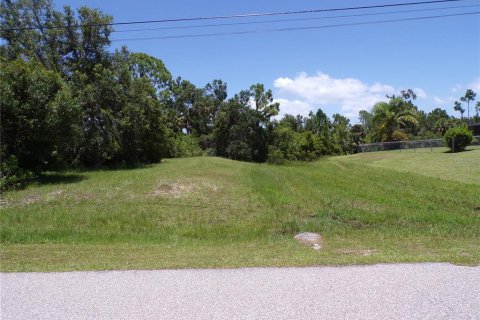 Land in Rotonda, Florida № 1843068 - photo 6