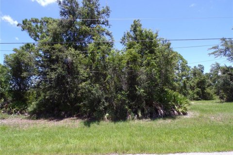 Land in Rotonda, Florida № 1843068 - photo 2