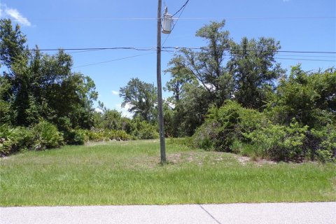 Land in Rotonda, Florida № 1843068 - photo 1