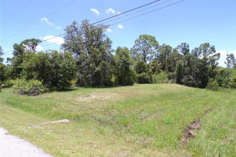Land in Rotonda, Florida № 1843068 - photo 8