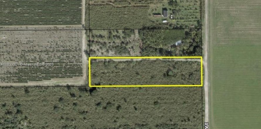 Propiedad comercial en Homestead, Florida № 1811390