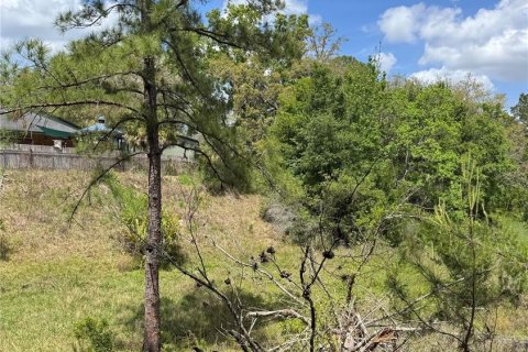 Land in Spring Hill, Florida № 1723743 - photo 4