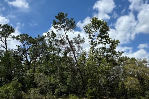 Land in Spring Hill, Florida № 1723743 - photo 1