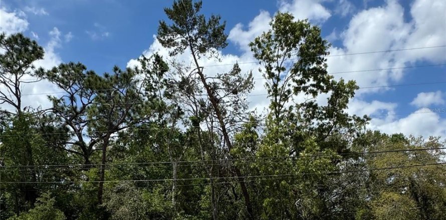 Land in Spring Hill, Florida № 1723743