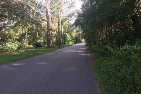 Land in Zephyrhills, Florida № 1262496 - photo 5
