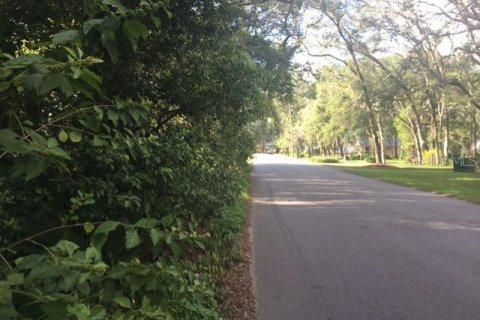 Land in Zephyrhills, Florida № 1262496 - photo 6