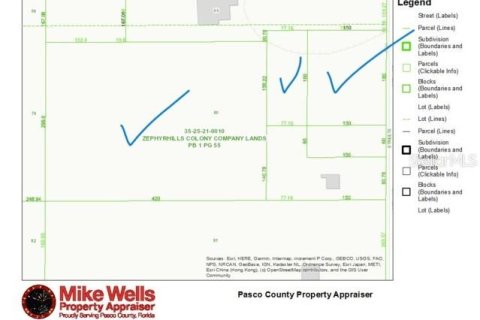 Land in Zephyrhills, Florida № 1262496 - photo 3