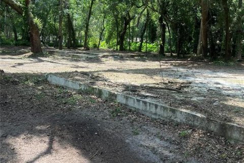 Land in Zephyrhills, Florida № 1262496 - photo 2