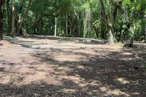 Land in Zephyrhills, Florida № 1262496 - photo 1