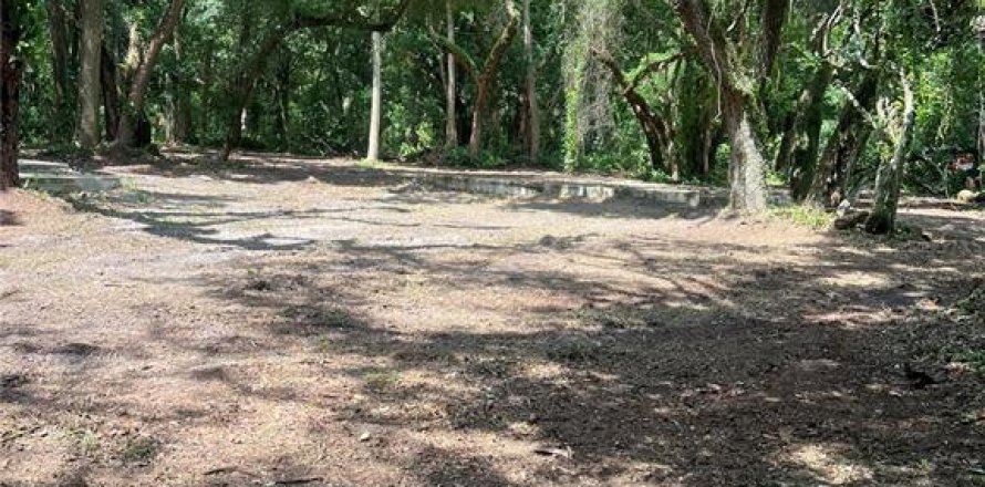 Land in Zephyrhills, Florida № 1262496