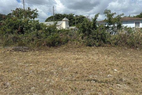 Terrain à vendre à Miami, Floride № 2193956 - photo 3