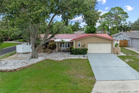 House in Seminole, Florida 3 bedrooms, 149.2 sq.m. № 1912127 - photo 29