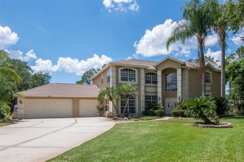 Villa ou maison à vendre à Lutz, Floride: 5 chambres, 304.35 m2 № 2142697 - photo 2